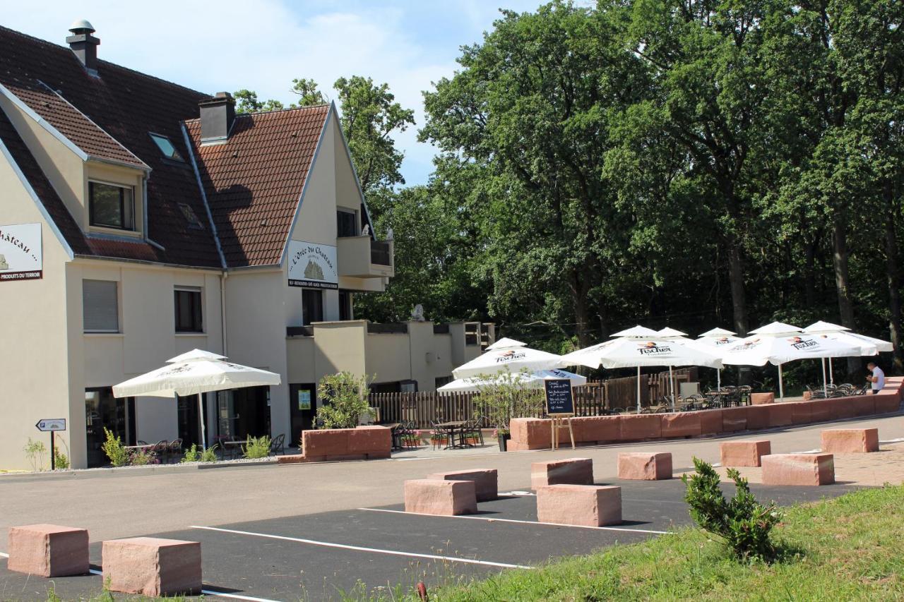 Gite L'Oree Du Chateau - Appartement Potiron Orschwiller Buitenkant foto